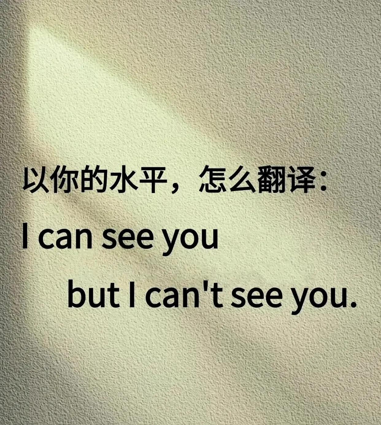 以你的水平，怎么翻译