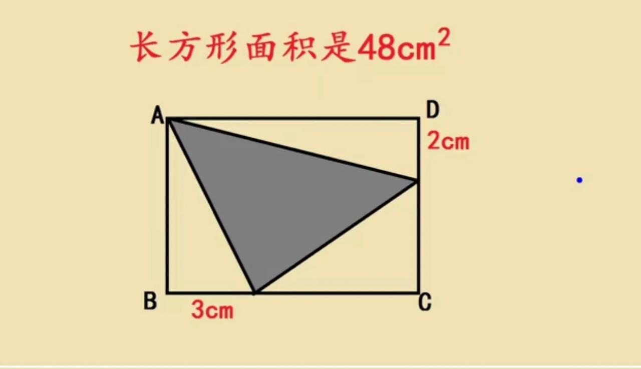 上海市名校小升初入学
