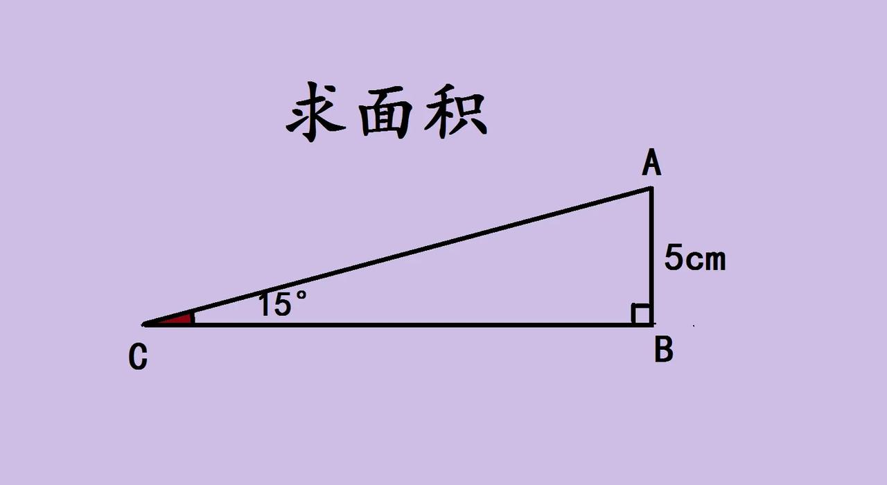 初中几何求面积很多学