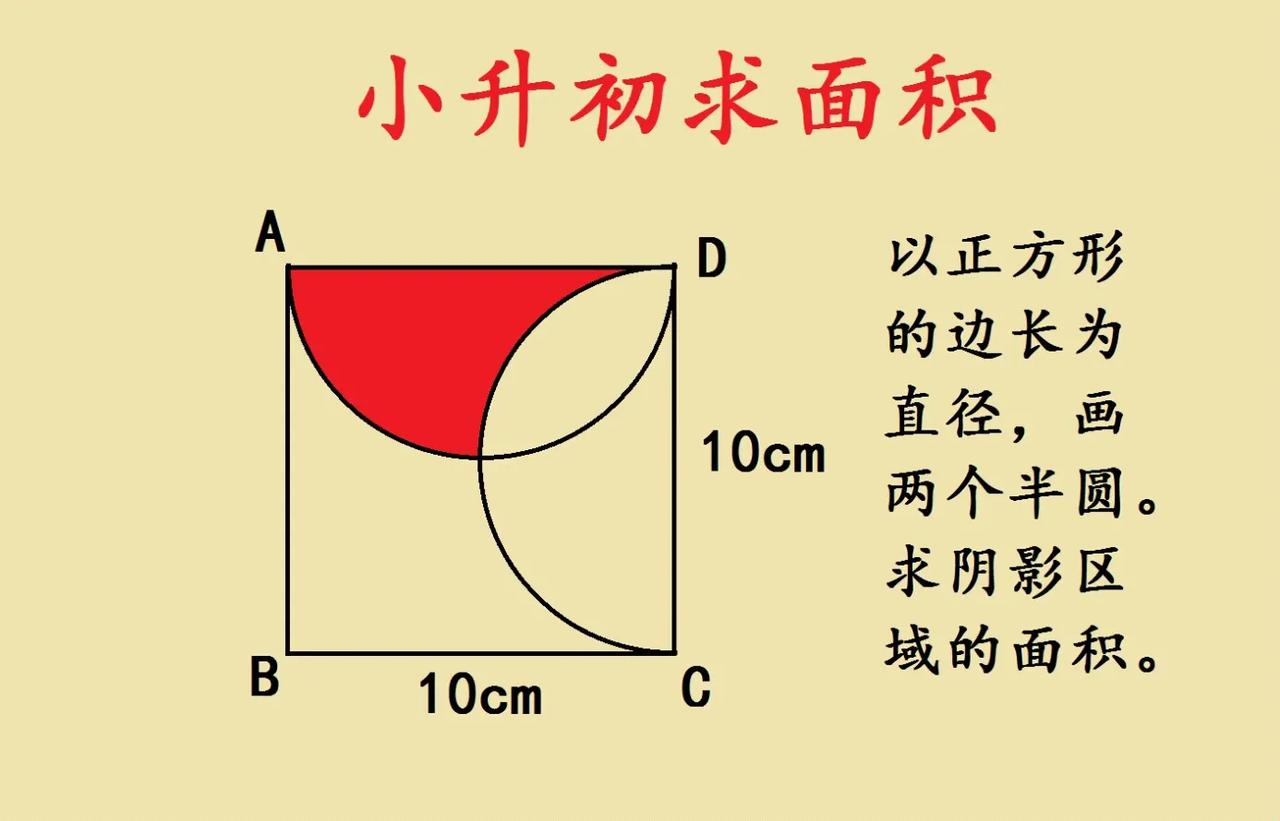 一道小升初求面积，经