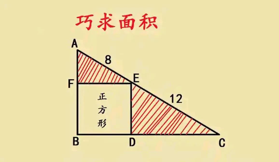 这是上海市名校小升初