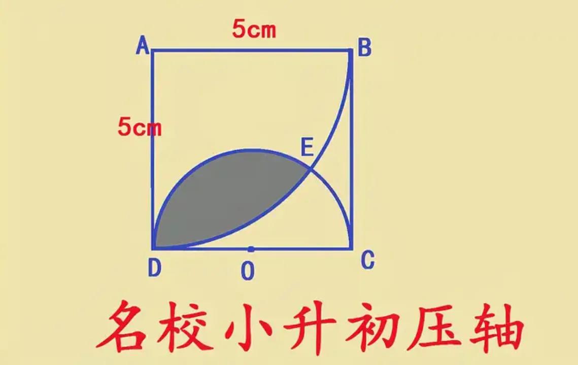这是上海市名校小升初