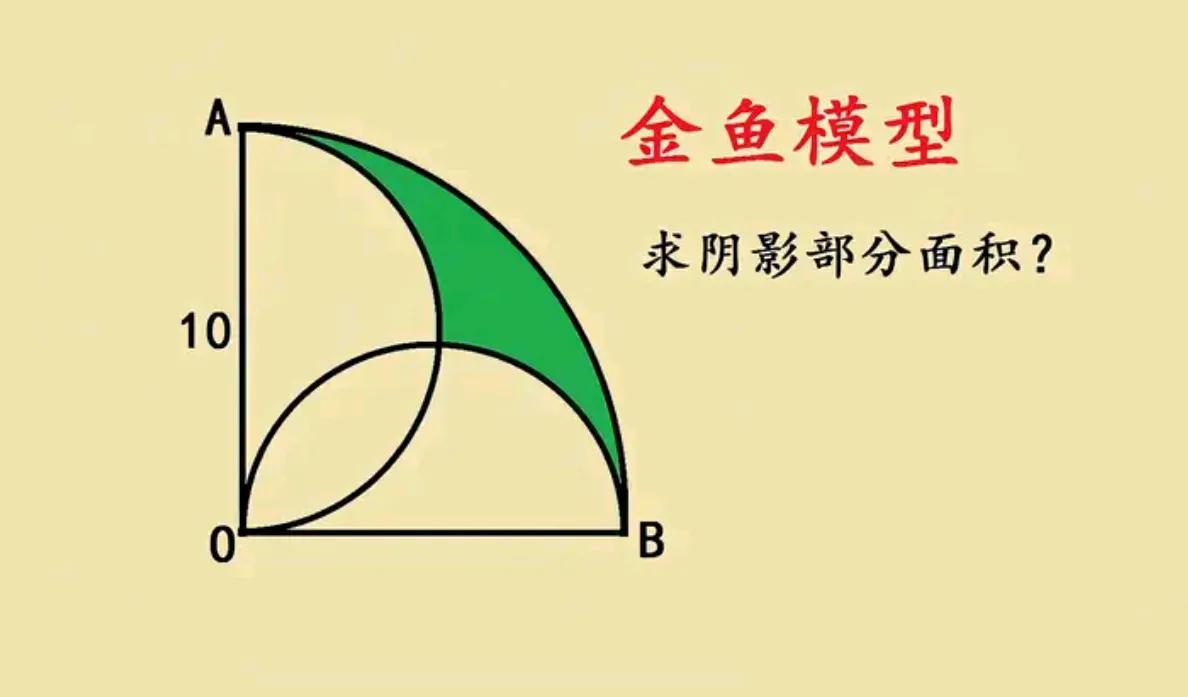 “爸爸，金鱼模型好难