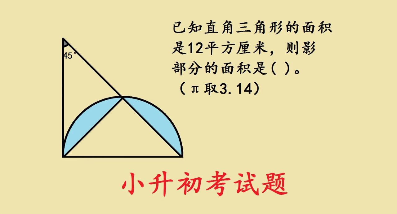上海市名校小升初入学