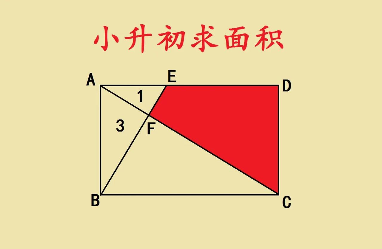 这是四川成都私立名校