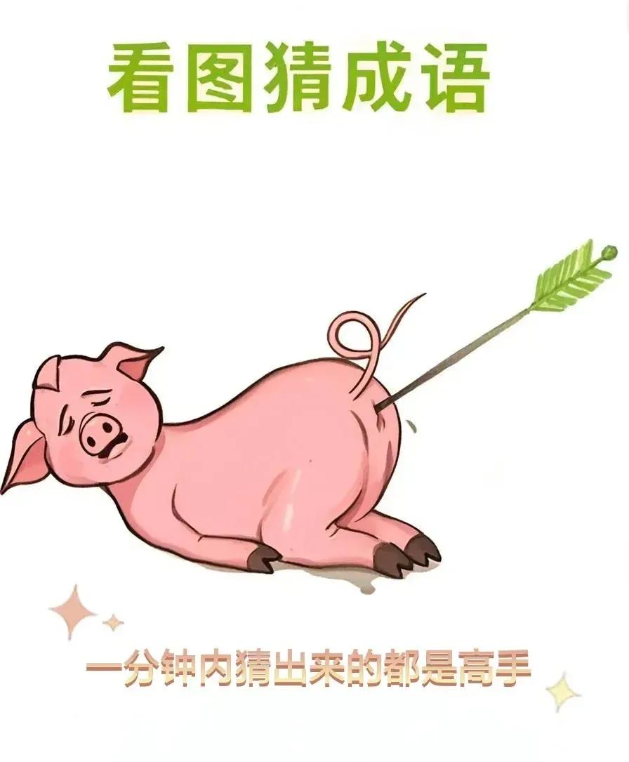 看图猜成语，图片有头