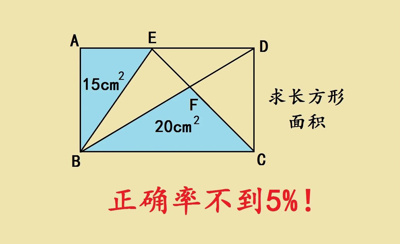 正确率不到5%小学几