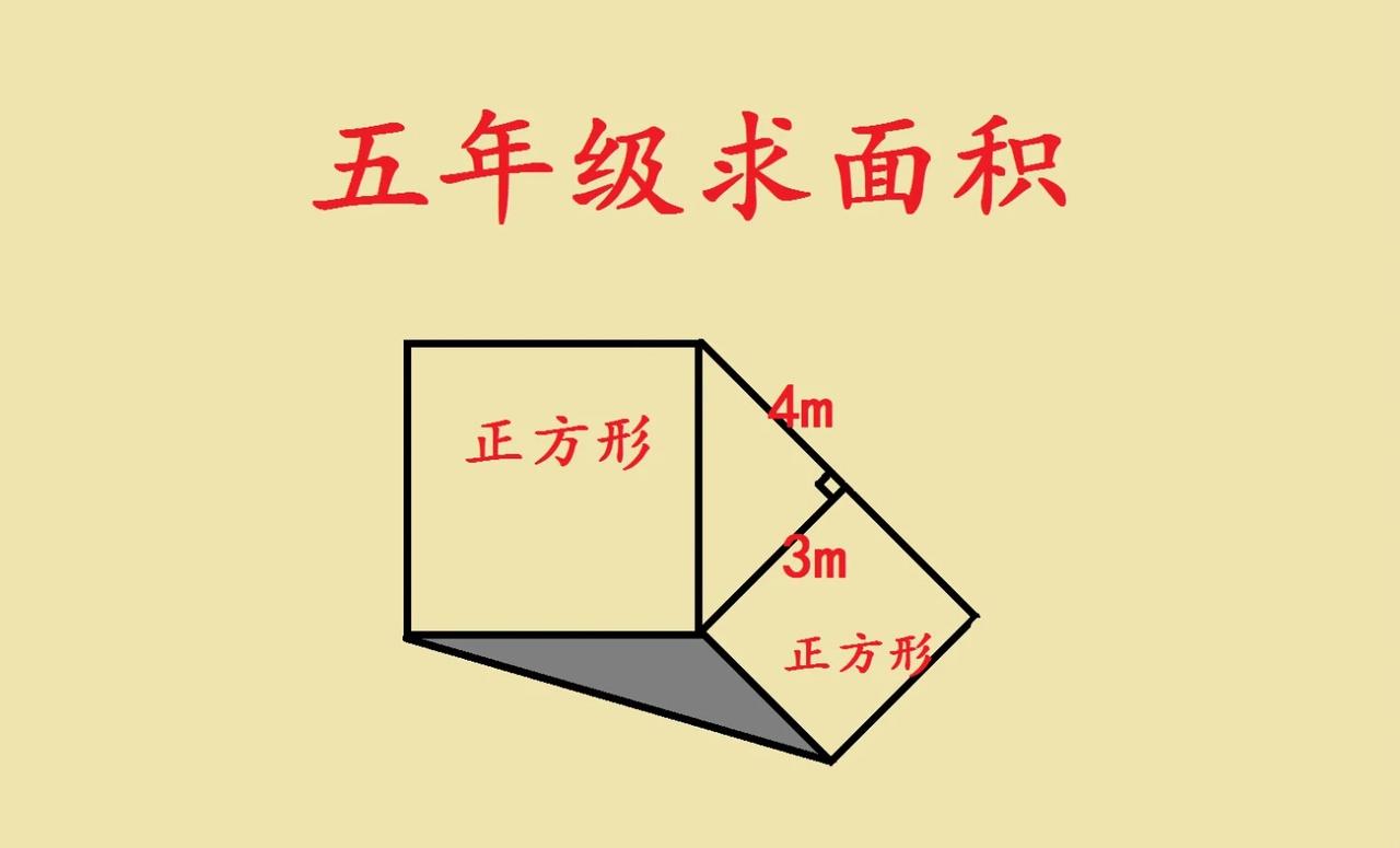 五年级求面积，不愧是