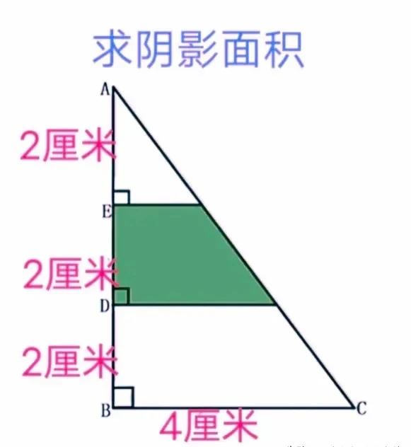 五年级期末考试题几何