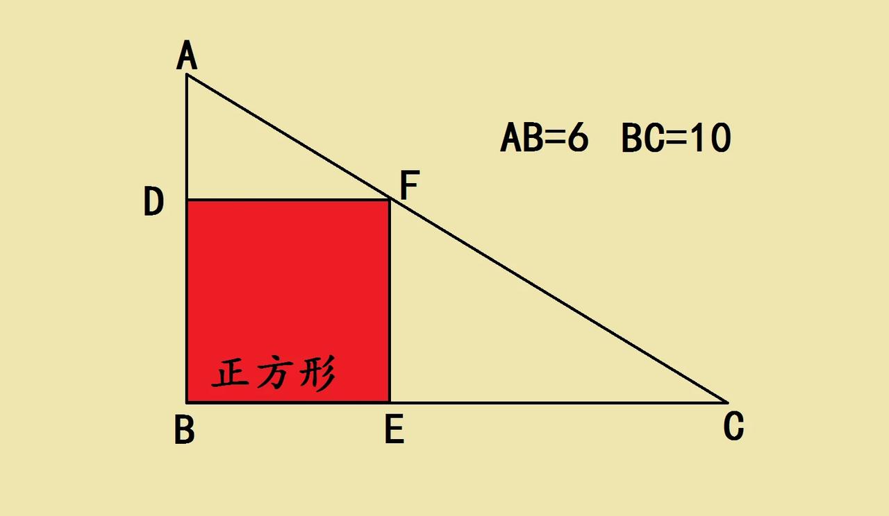 五年级几何求面积，女