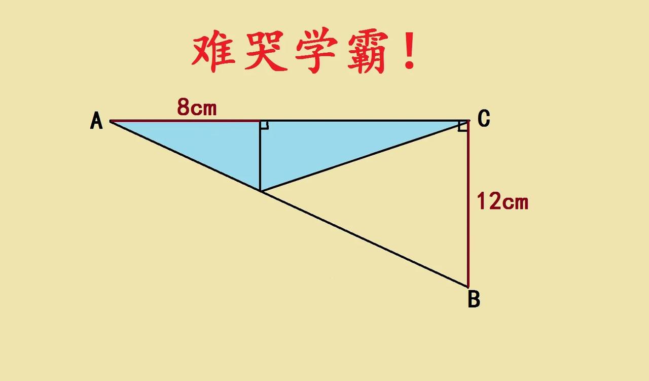 难哭学霸的一道小升初