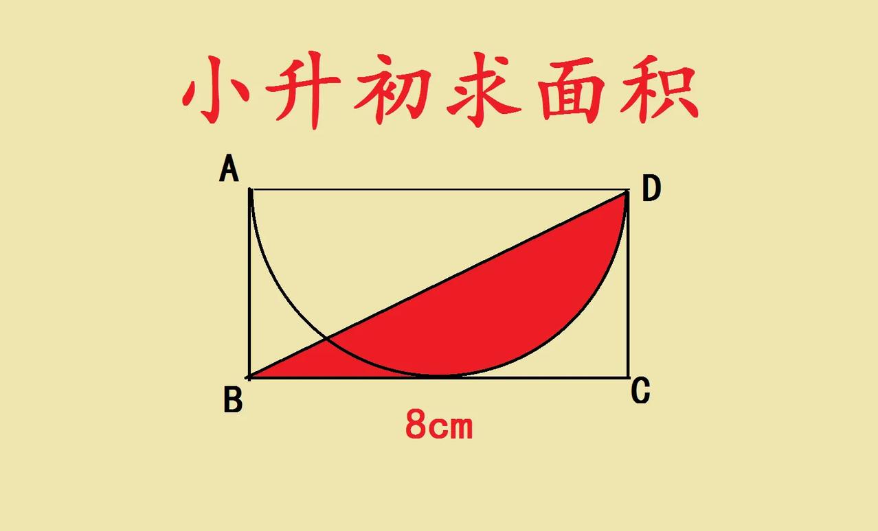 小升初求阴影部分面积