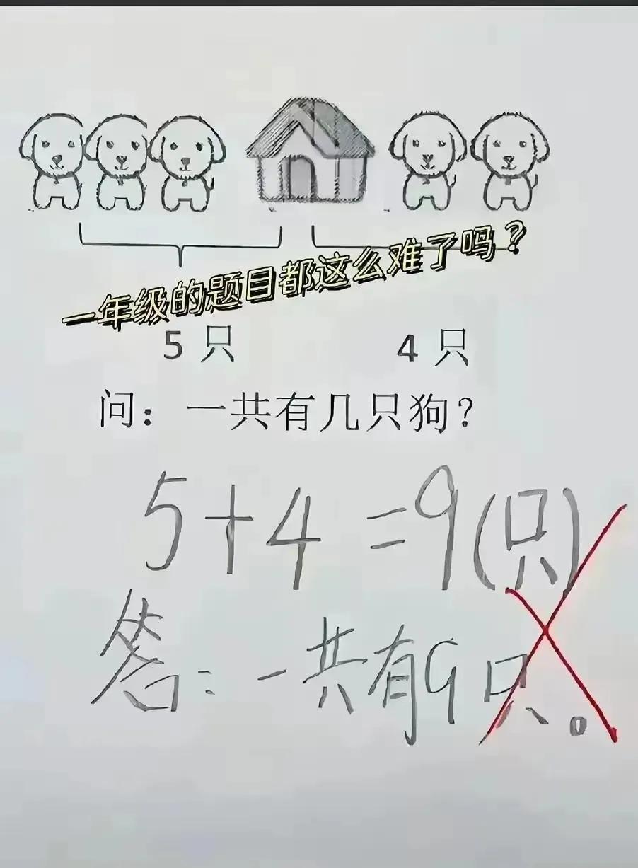 天王老子来了也是9只