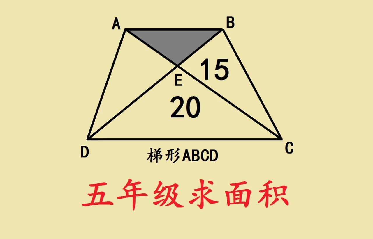小学五年级求面积，难