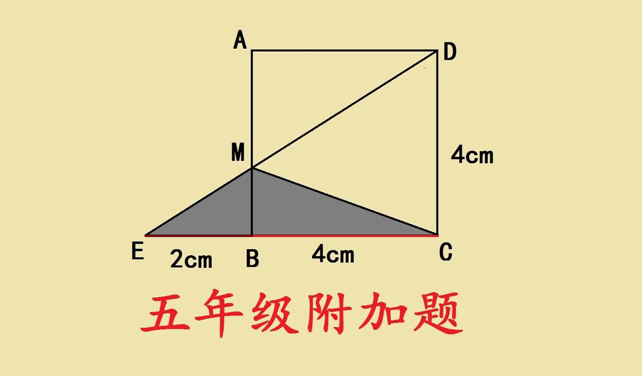 这是安徽省名校五年级