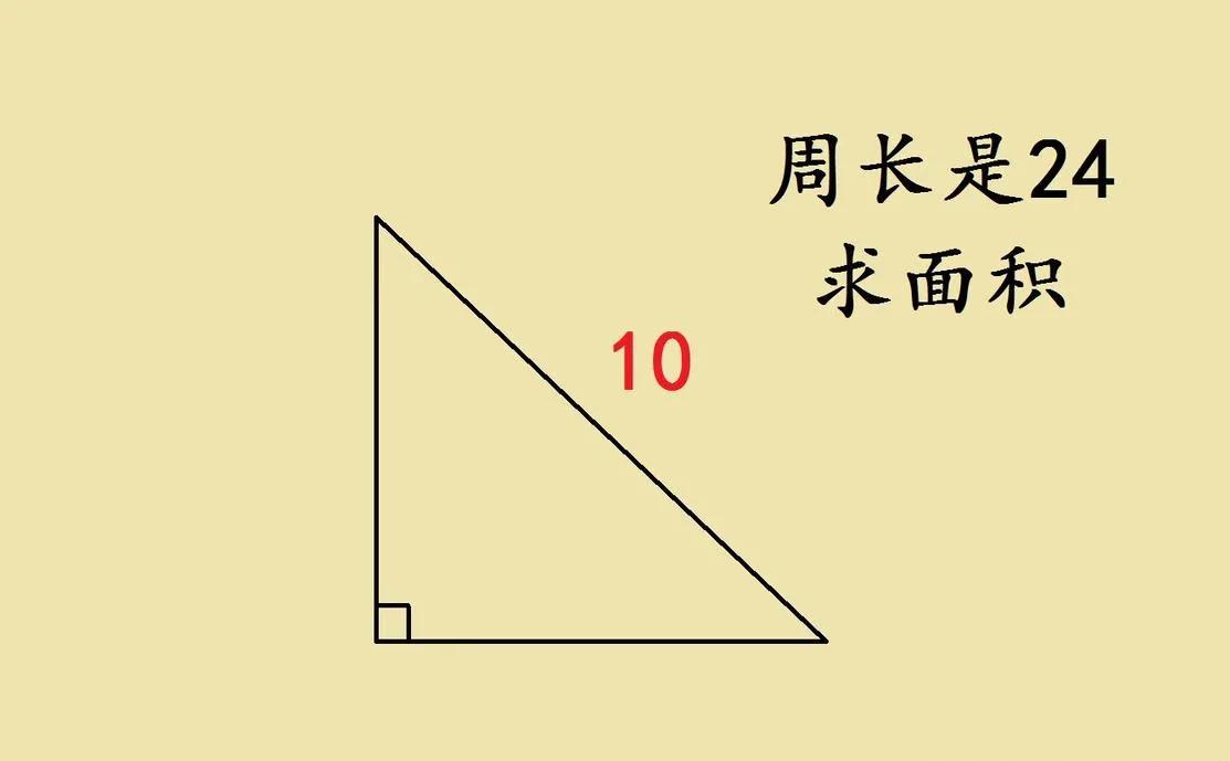 不愧是名校小升初招生