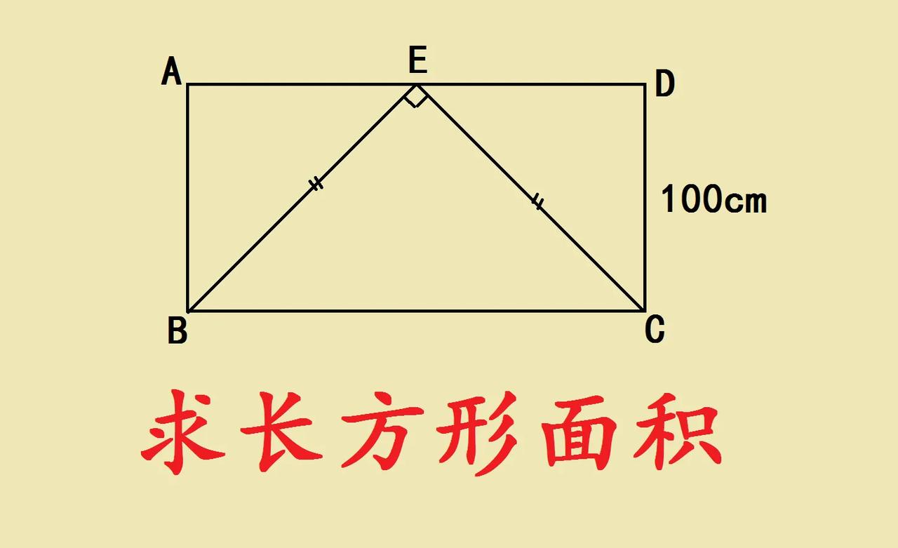 五年级期末考试题，本