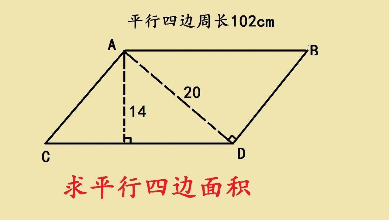 深圳市小升初考试题，