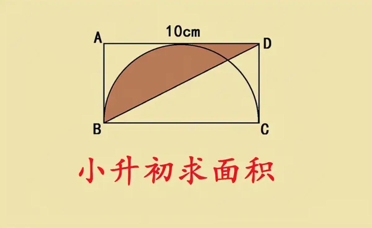 小升初一道经典的求阴