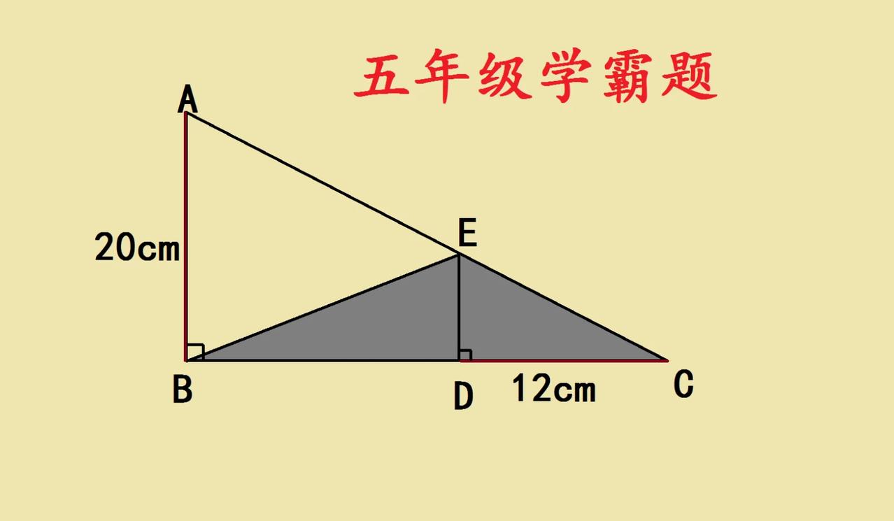 五年级学霸题，学霸看